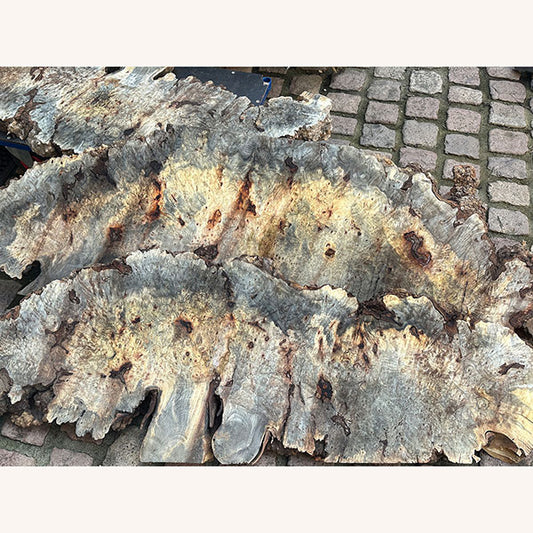 Frisch eingetroffen - Buckeye Burl aus Kalifornien