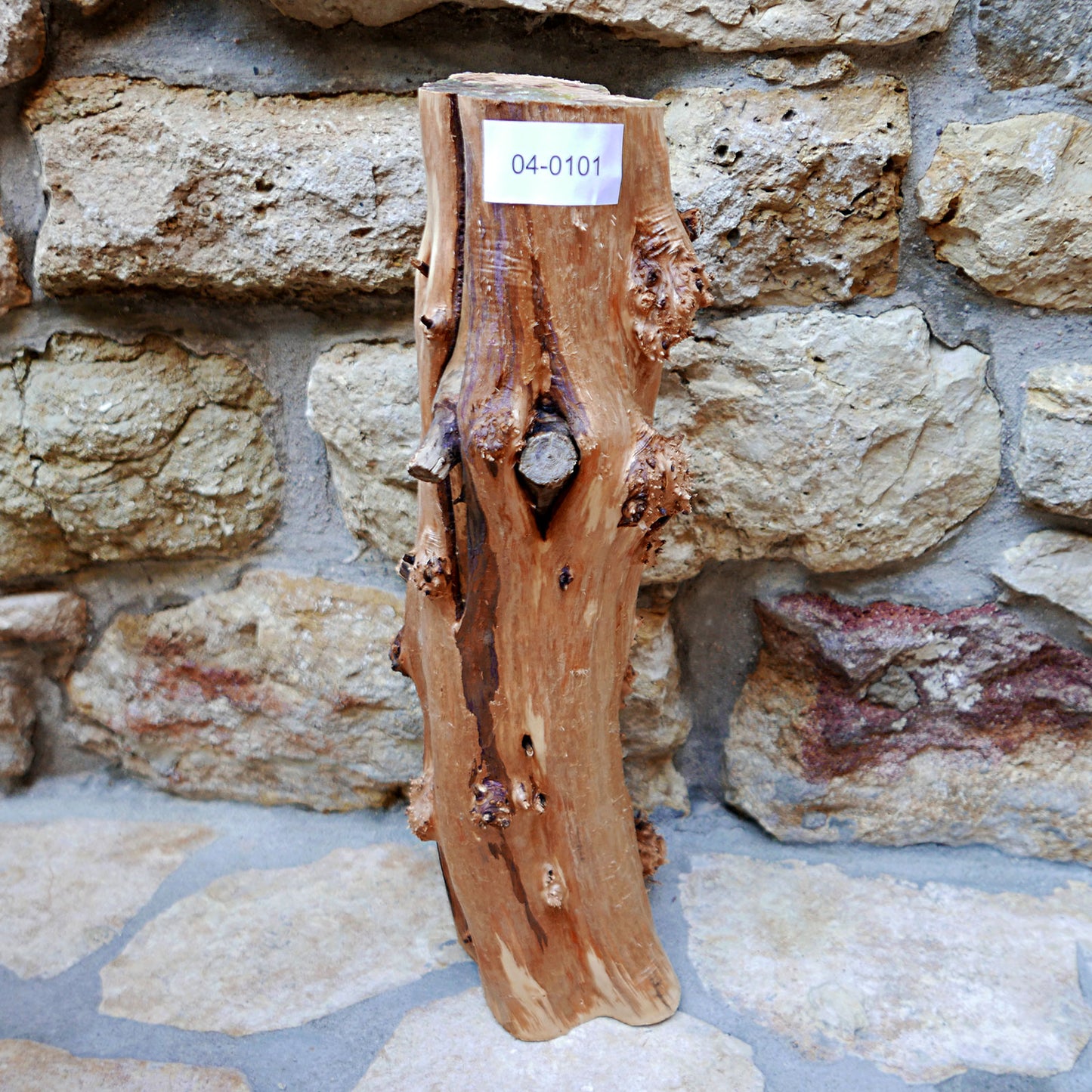 JUNIPER BURL TRUNK SECTION 04-0101