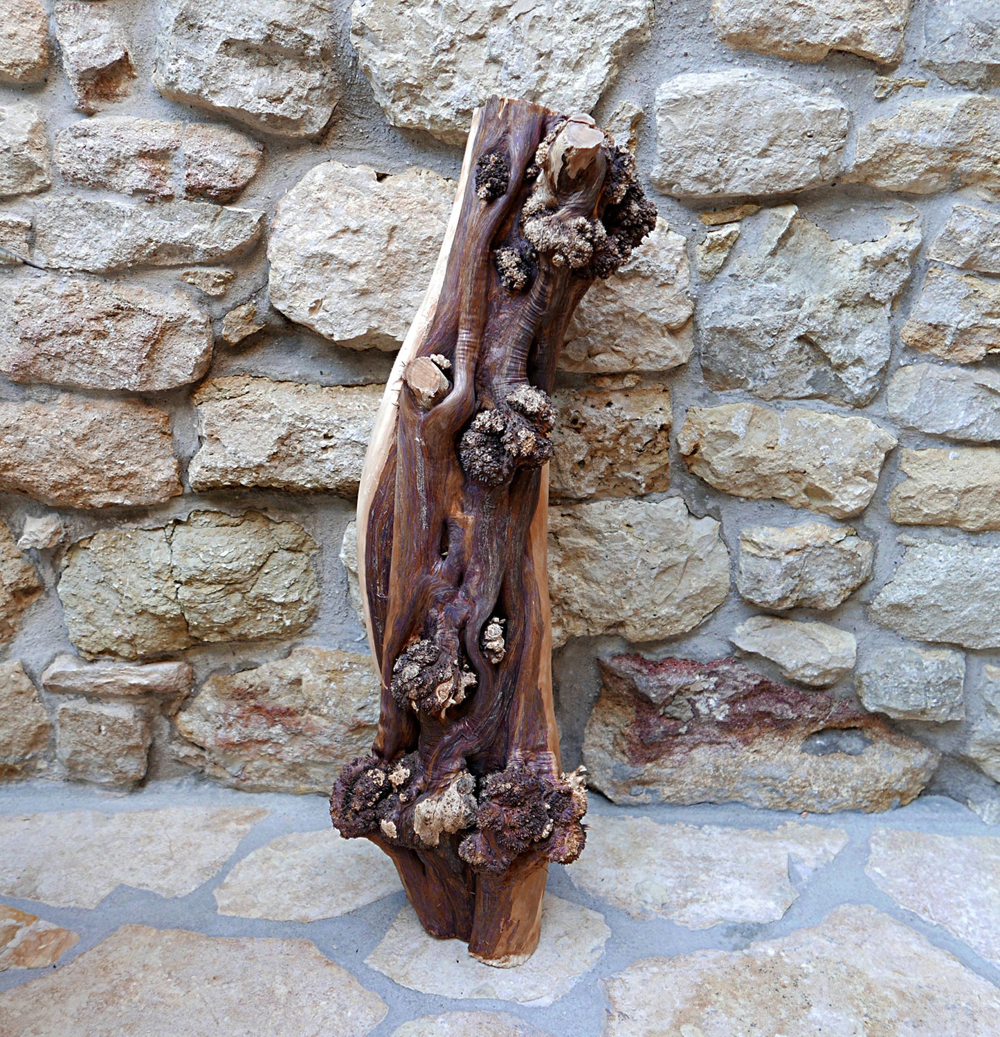 JUNIPER BURL TRUNK SECTION 04-0103