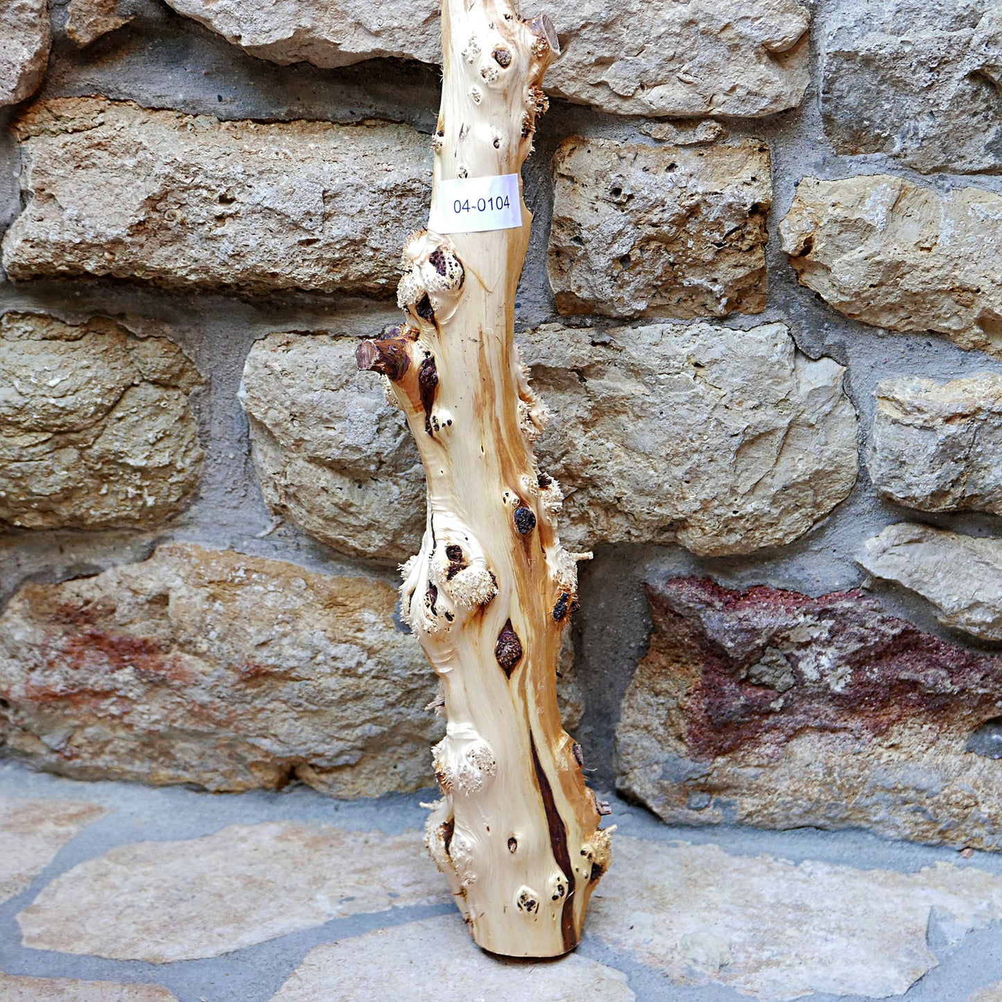 JUNIPER BURL TRUNK SECTION 04-0104